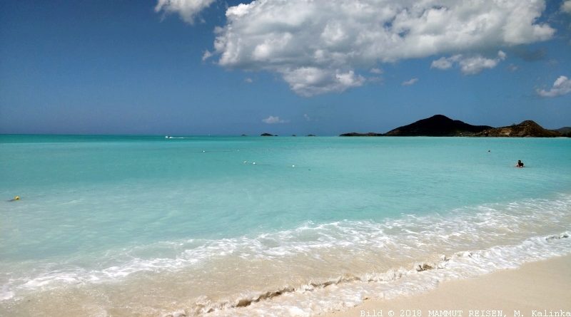 Mammut Reisen Kreuzfahrt Und Meer Mammut Reisen